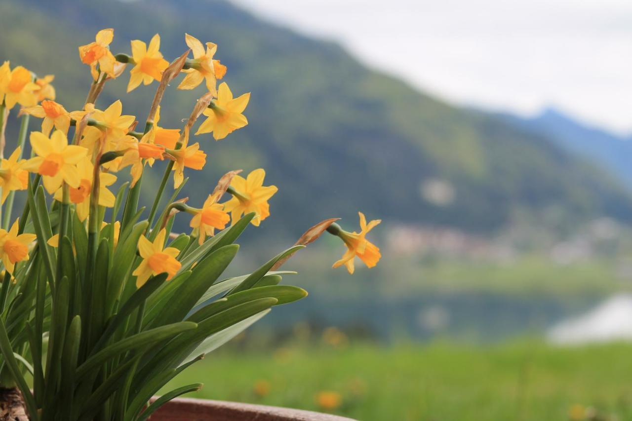 Panorama Lodge Walchsee Dış mekan fotoğraf